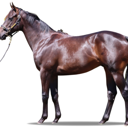 Flying Artie x Aunt Mimi